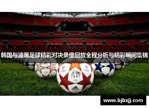 韩国与波黑足球精彩对决录像回放全程分析与精彩瞬间集锦
